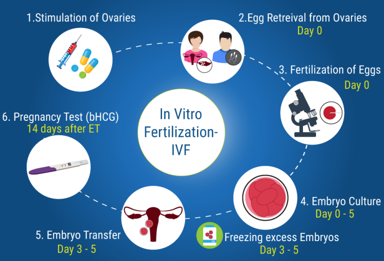 IVF treatment and process